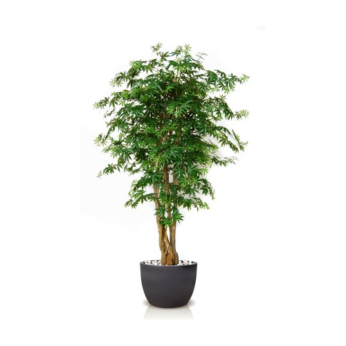 Planta semi-artificiala Ila, Maple Malabar Green - 180 cm